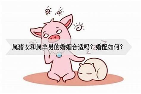 男虎女猪婚配怎么样,男虎女猪婚姻是否相配