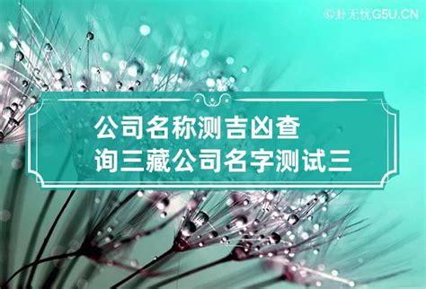 三藏网测试公司名字吉凶(三藏公司名称测吉凶打分)