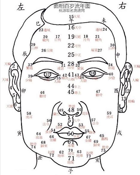 天秤座流年运程图,面部年龄运势图